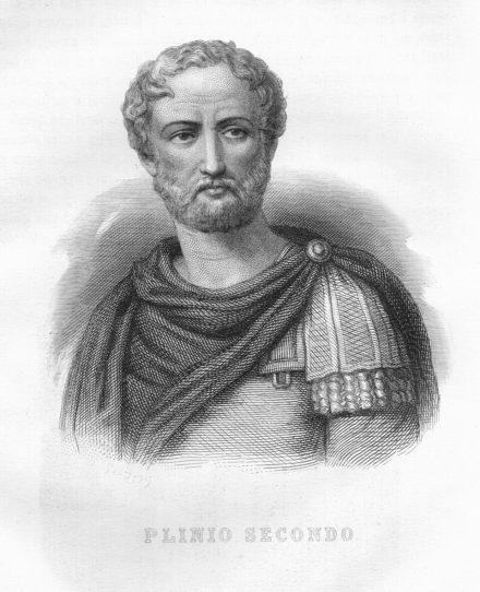 pliny-the-elder