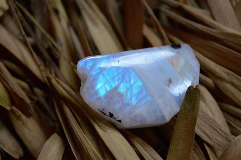 A piece of moonstone sitting on a pile of light brown leaves or rushes